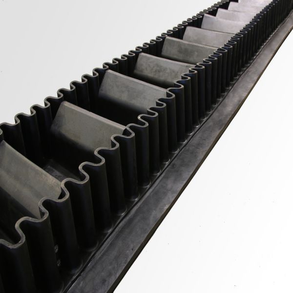 Sidewall conveyor belt